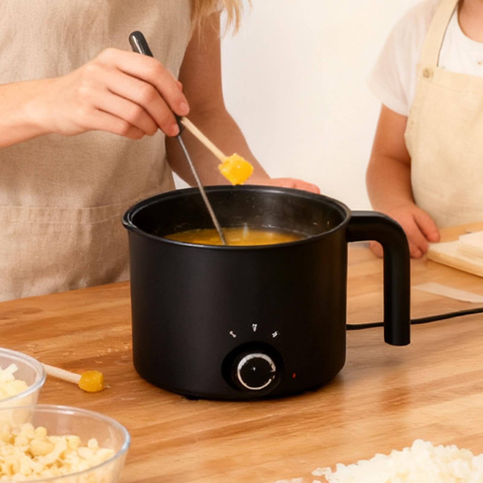 Panela Elétrica de Aço Inoxidá - Soap Making Kit avaliação e preço